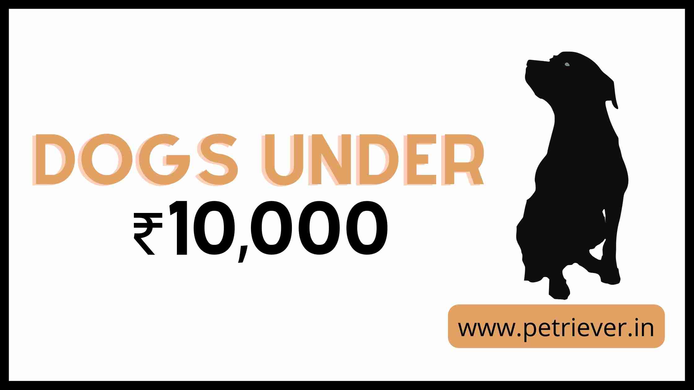 dogs under 10000